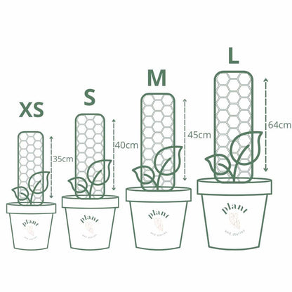 Pack of 3 transparent plant supports + 1m of free Velcro tape - Support for climbing plants