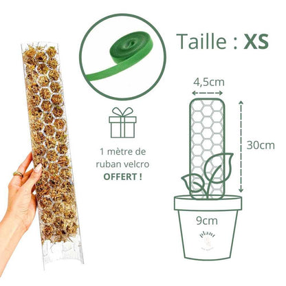 Pack of 3 transparent plant supports + 1m of free Velcro tape - Support for climbing plants