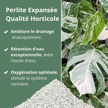 Perlite Horticole - Perlite pour plante