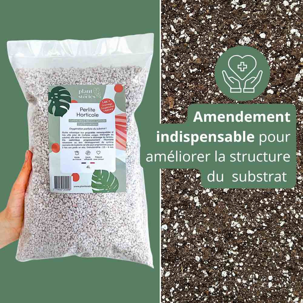 Perlite Horticole - Perlite pour plante
