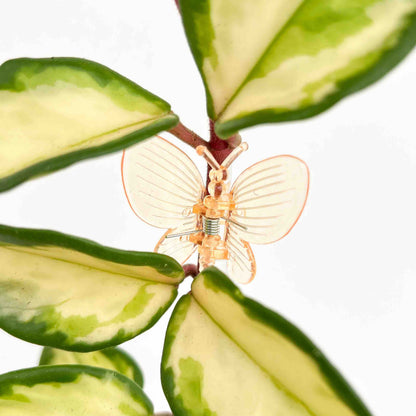 Pinces Papillon pour plante X10 - Pince tuteurage Papillon - Clips de support - Pinces de support pour plantes