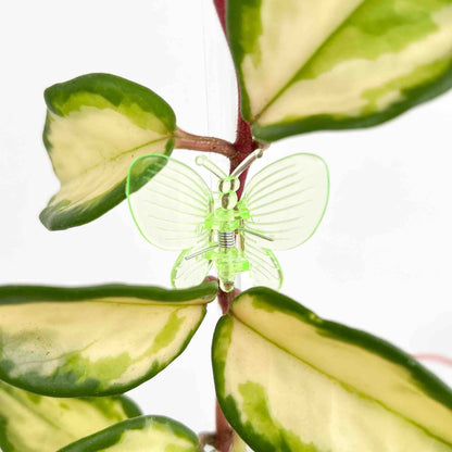 Pinces Papillon pour plante X10 - Pince tuteurage Papillon - Clips de support - Pinces de support pour plantes