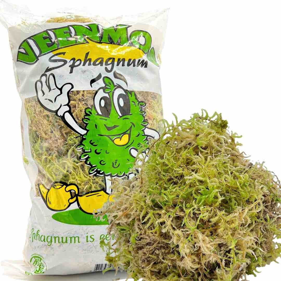 Mousse de sphaigne vivante pour plante verte et beige présentée à côté de son sachet sur fond blanc