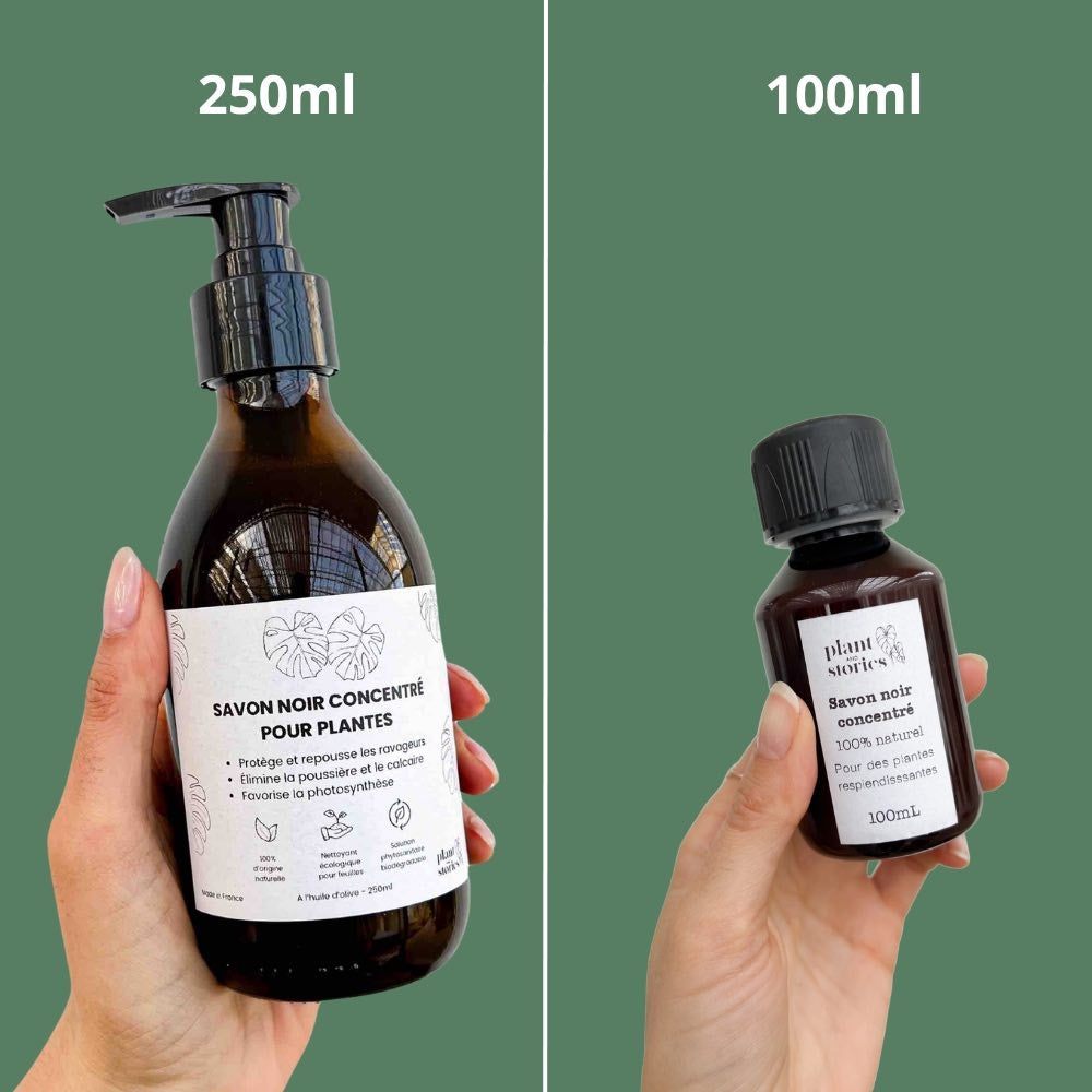 Savon noir concentré pour plantes - Solution Phytosanitaire Écologique