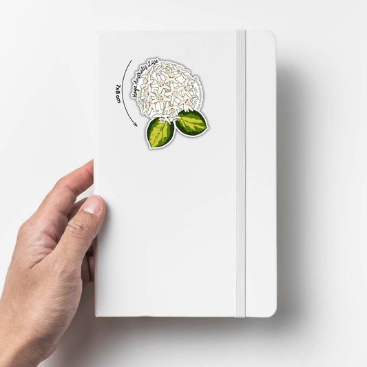 Sticker Hoya avec un amas de petites fleurs étoilées blanches et deux feuilles vertes sur un cahier blanc