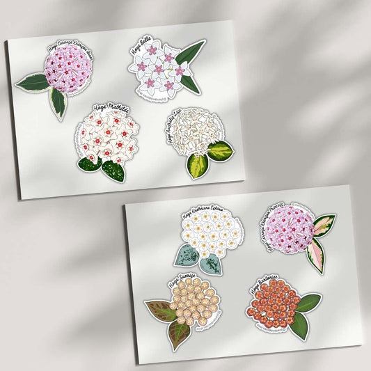 Deux planches de stickers Hoya avec sept illustrations de fleurs aux couleurs variees et feuilles vertes et creme
