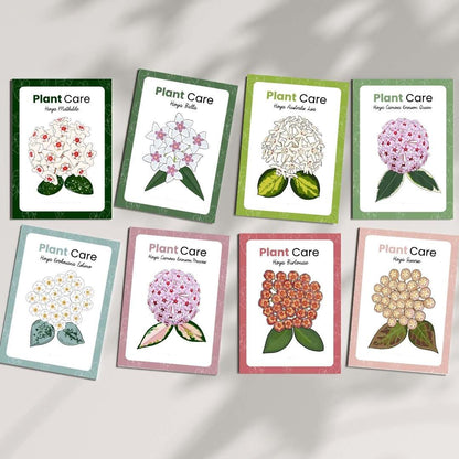Hoya Cards & Stickers Collection Pack