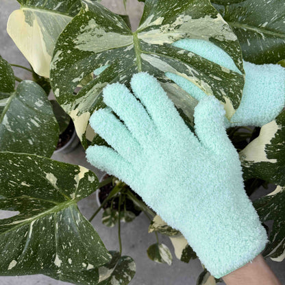 Pack Soin des Plantes Routine complète - Pulvérisateur 250ml + Savon noir concentré + Paire de Gants de Nettoyage