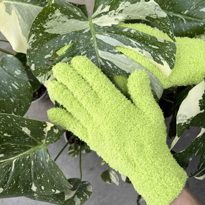 Pack Soin des Plantes Routine complète - Pulvérisateur 250ml + Savon noir concentré + Paire de Gants de Nettoyage