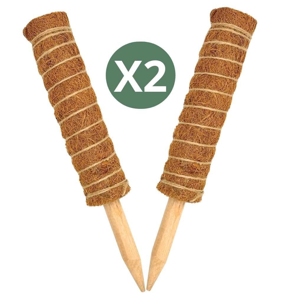 Lot X2 Tuteurs empilables pour plantes en fibres de coco + 1m ruban velcro Offert - Support pour plantes grimpantes - plantandstories