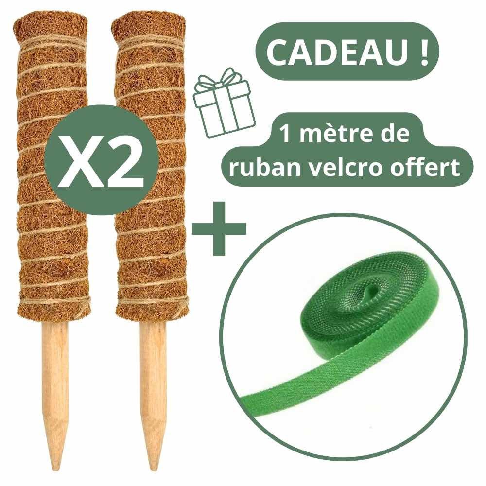 Lot X2 Tuteurs empilables pour plantes en fibres de coco + 1m ruban velcro Offert - Support pour plantes grimpantes - plantandstories