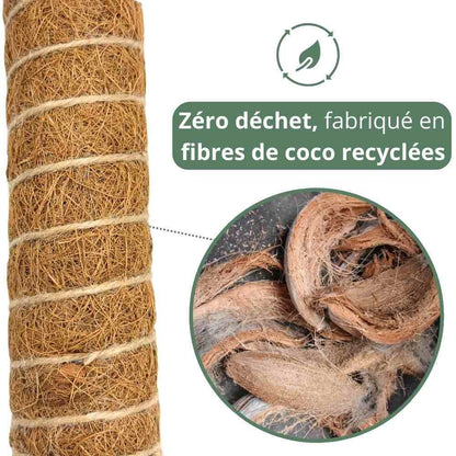 Lot X2 Tuteurs empilables pour plantes en fibres de coco + 1m ruban velcro Offert - Support pour plantes grimpantes - plantandstories
