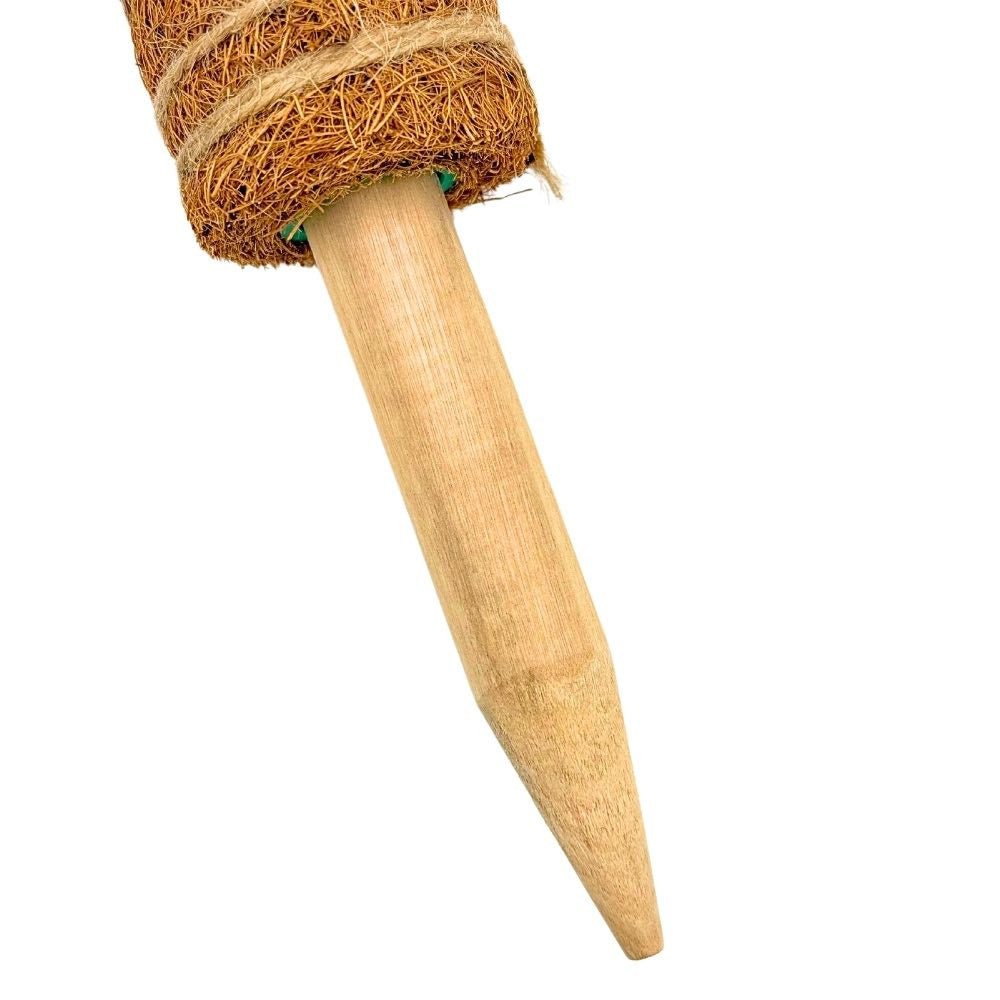 Lot X2 Tuteurs empilables pour plantes en fibres de coco + 1m ruban velcro Offert - Support pour plantes grimpantes - plantandstories