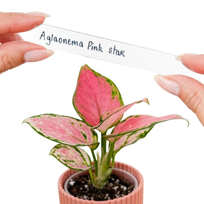 Set of clear acrylic labels - Waterproof, Designer, Indoor, Outdoor