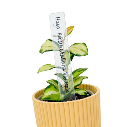 Set of clear acrylic labels - Waterproof, Designer, Indoor, Outdoor