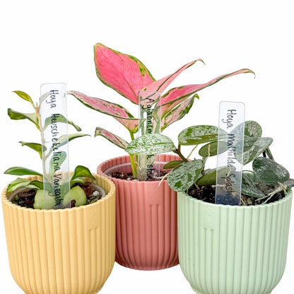 Set of clear acrylic labels - Waterproof, Designer, Indoor, Outdoor