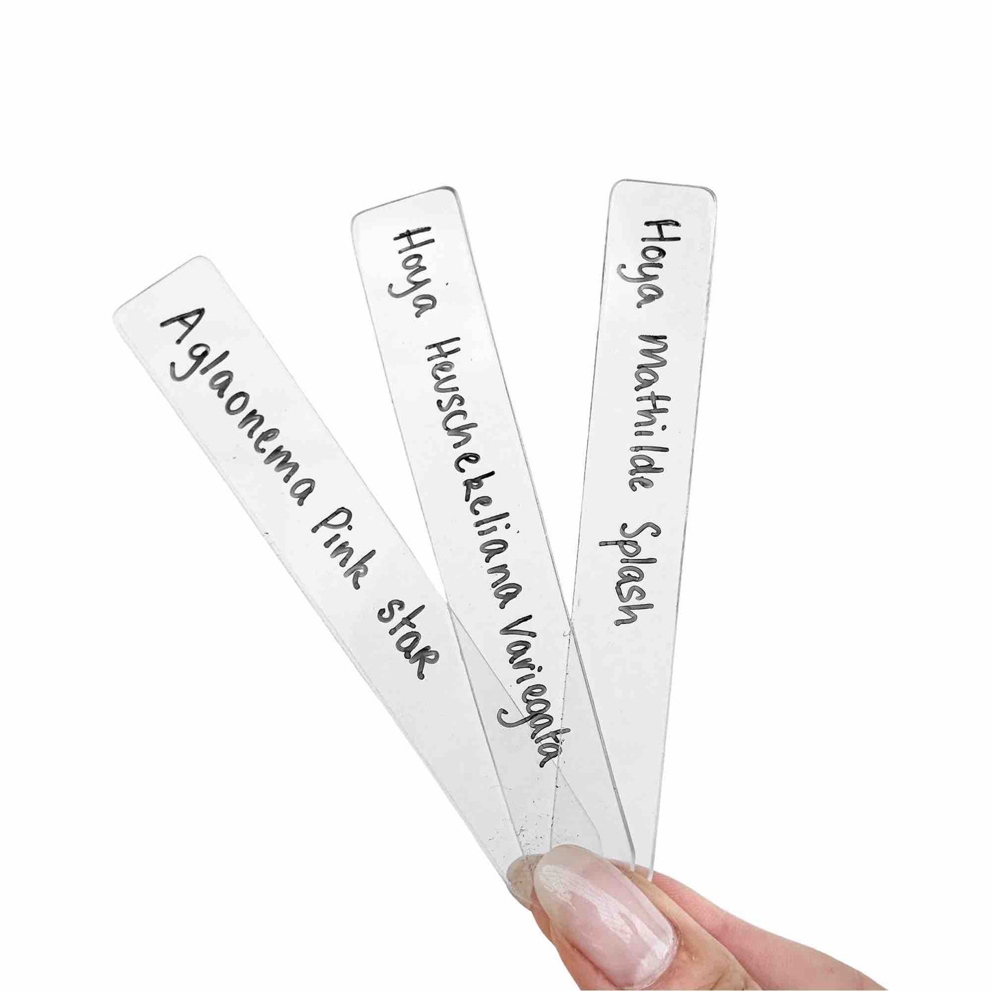 Set of clear acrylic labels - Waterproof, Designer, Indoor, Outdoor