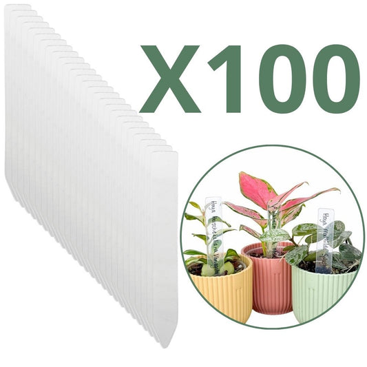 De nombreuses étiquettes transparentes acryliques imperméables pour plantes, avec un exemple de trois plantes en pots colorés