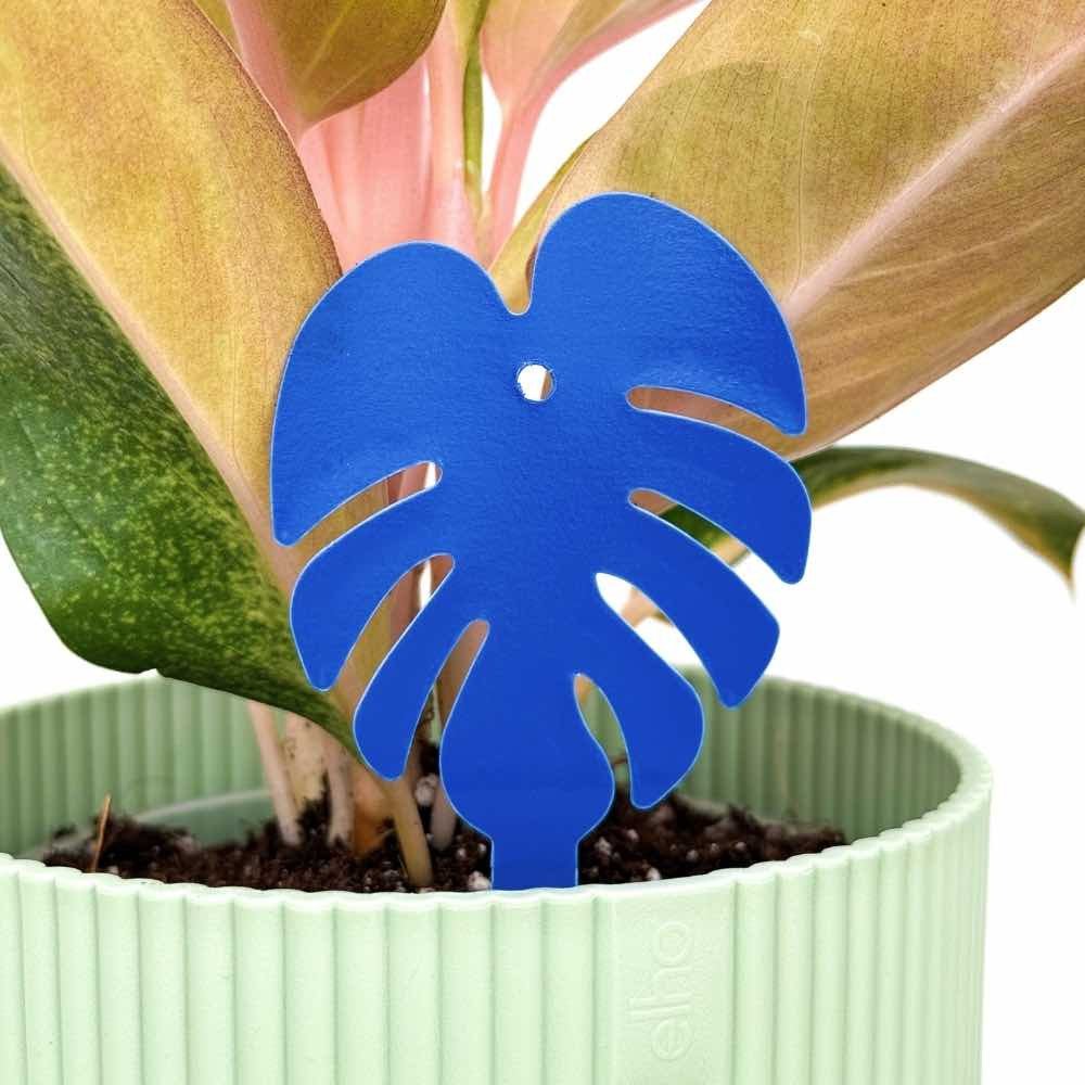 OFFRE DUO - Pièges bleus Anti - thrips + Pièges Jaunes Anti - mouches de terreau - Pièges chromatiques englués - plantandstories