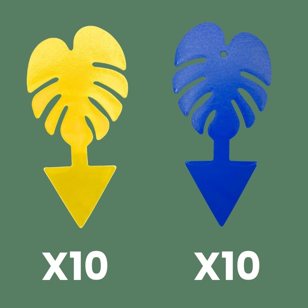 Deux pièges chromatiques englués en forme de feuille de monstera, l'un jaune et l'autre bleu, pour plantes