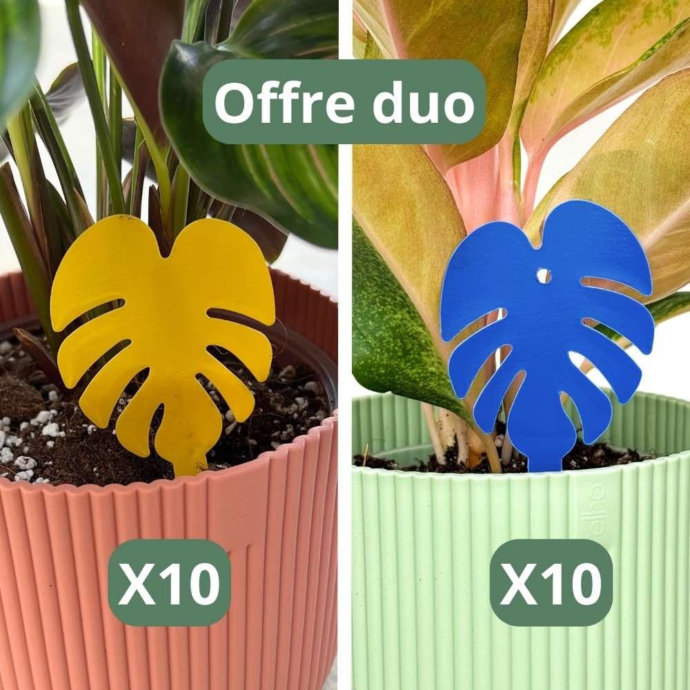 OFFRE DUO - Pièges bleus Anti - thrips + Pièges Jaunes Anti - mouches de terreau - Pièges chromatiques englués - plantandstories