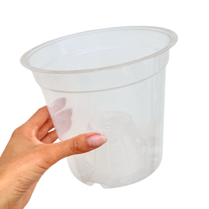 Transparent Plant Pot - Clear Pot with Perforated Growing Holes