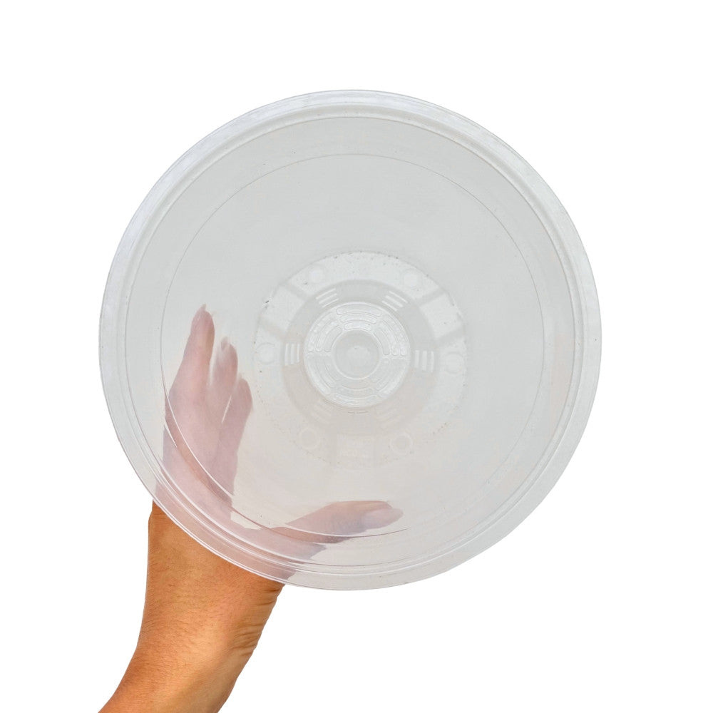 Transparent Plant Pot - Clear Pot with Perforated Growing Holes