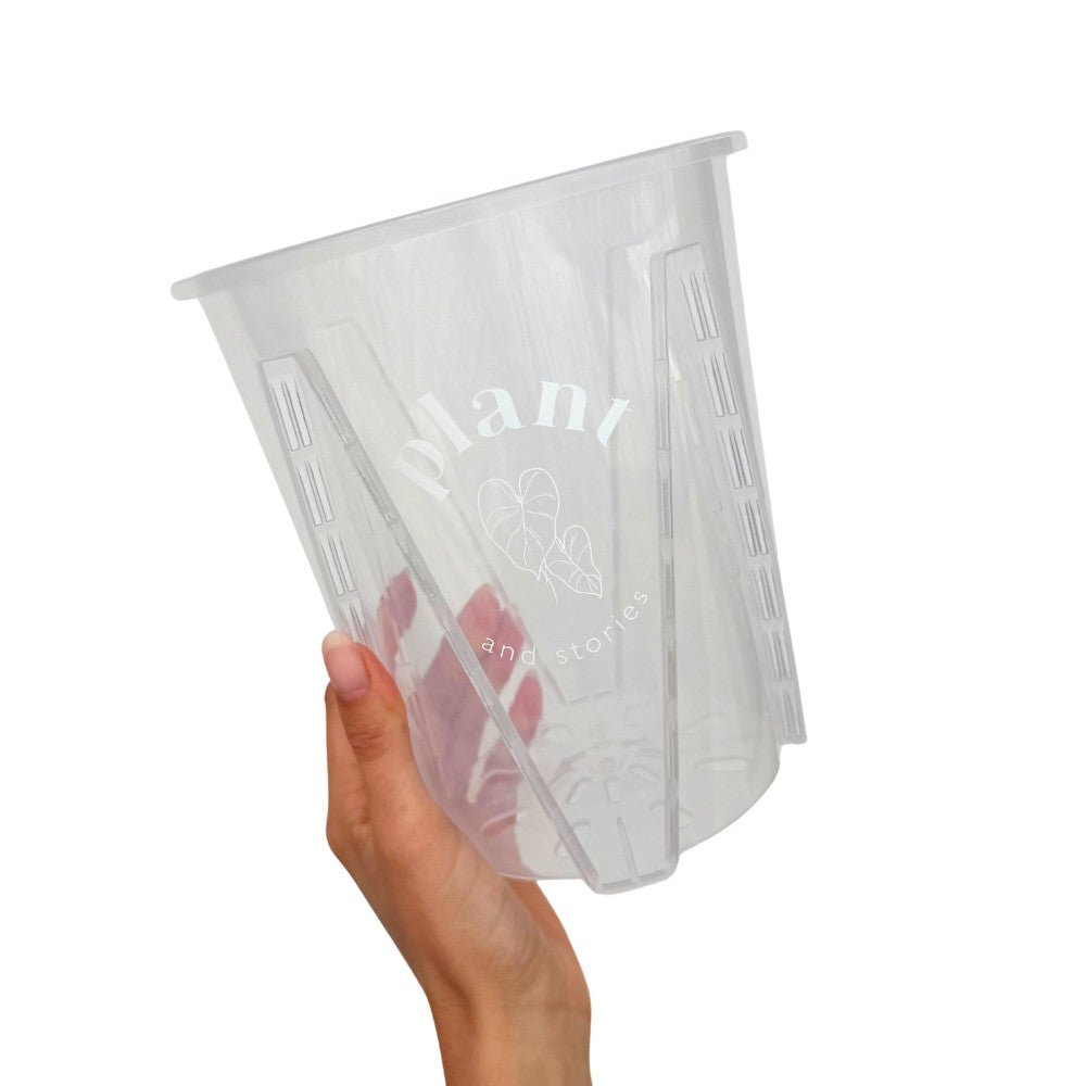 Pot Aracées Transparent - Pot de culture transparent pour plantes - plantandstories