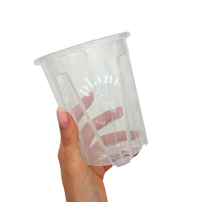 Transparent Araceae Pot - Transparent growing pot for plants