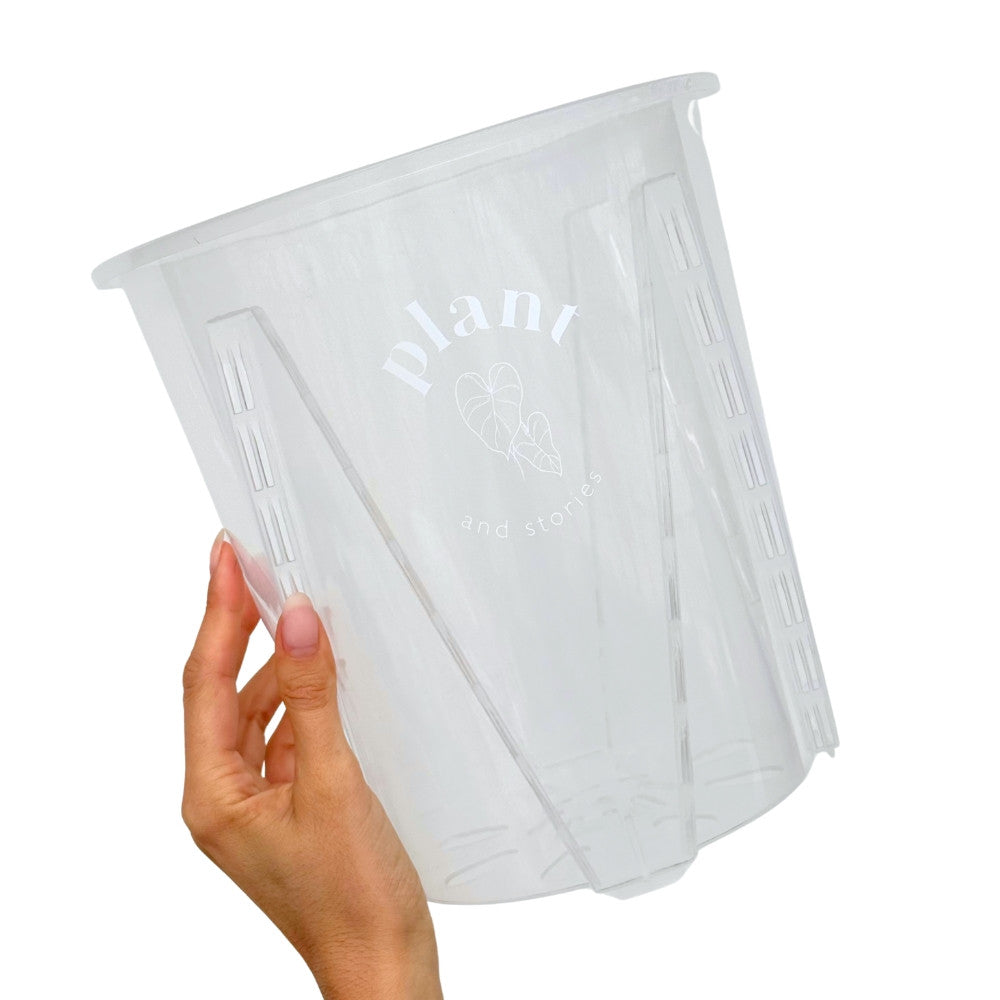 Transparent Araceae Pot - Transparent growing pot for plants