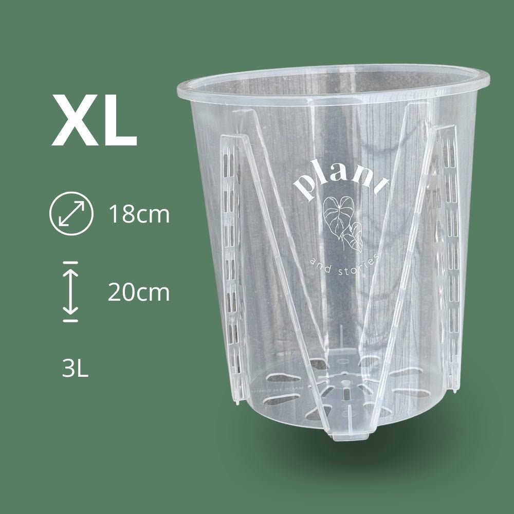 Pot Aracées Transparent - Pot de culture transparent pour plantes - plantandstories