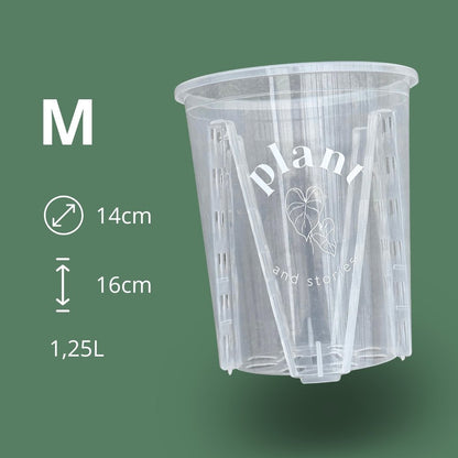 Transparent Araceae Pot - Transparent growing pot for plants