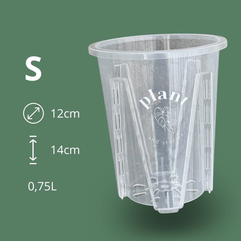 Pot Aracées Transparent - Pot de culture transparent pour plantes - plantandstories