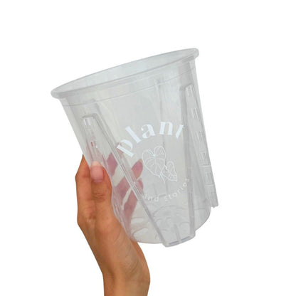 Pot Aracées Transparent - Pot de culture transparent pour plantes - plantandstories