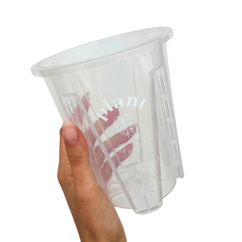 Pot Aracées Transparent - Pot de culture transparent pour plantes - plantandstories