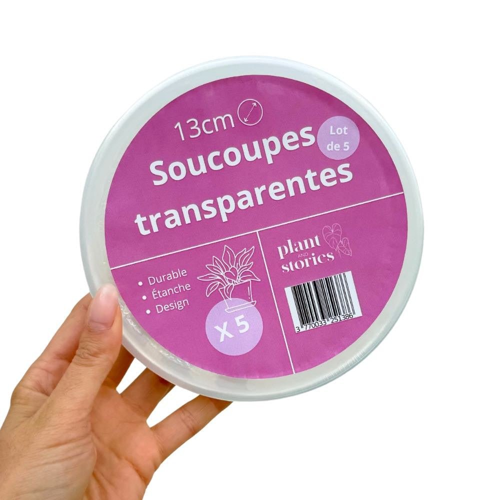 Soucoupes transparentes pour plantes - Soucoupes rigides - Coupelles pour plantes - plantandstories