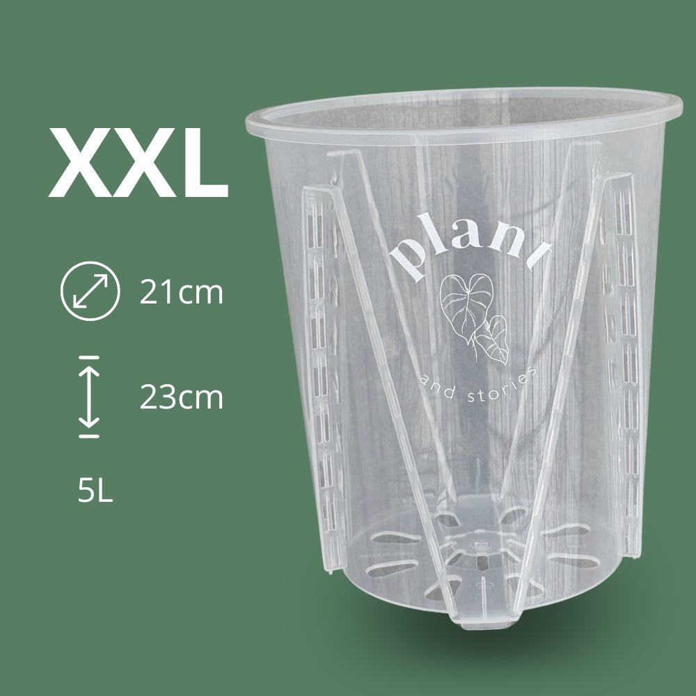 Lot Pot Aracées Transparent - Pot de culture transparent pour plantes