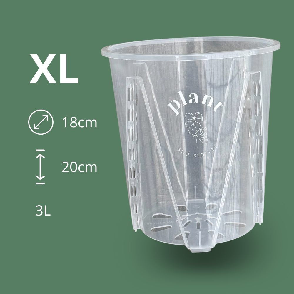 Lot Pot Aracées Transparent - Pot de culture transparent pour plantes