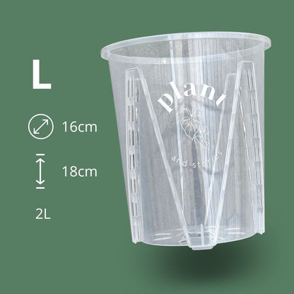 Lot Pot Aracées Transparent - Pot de culture transparent pour plantes