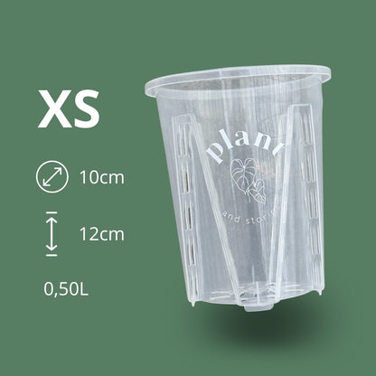 Lot Pot Aracées Transparent - Pot de culture transparent pour plantes