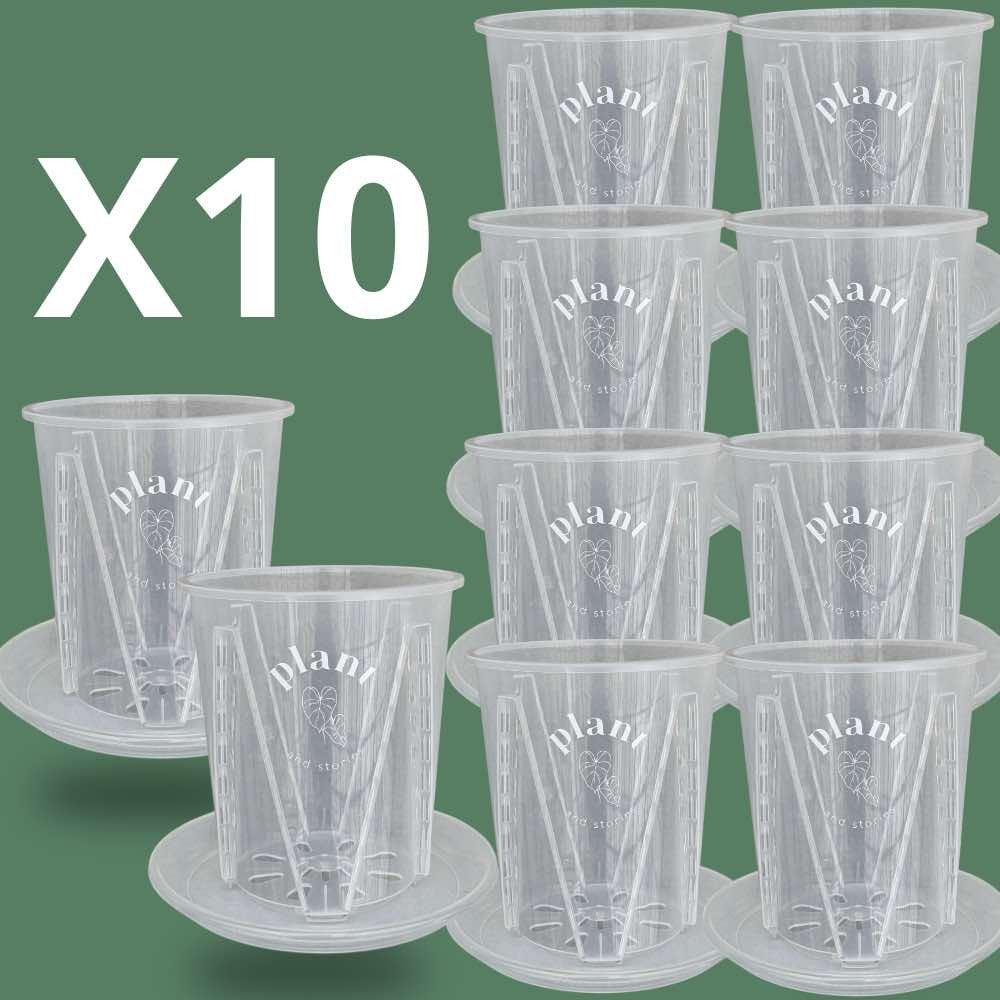 Lot Pot Aracées Transparent - Pot de culture transparent pour plantes