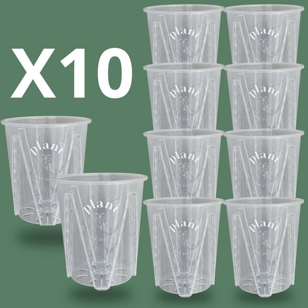 Lot Pot Aracées Transparent - Pot de culture transparent pour plantes - plantandstories