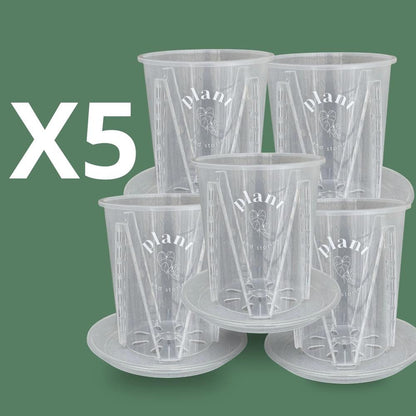 Lot Pot Aracées Transparent - Pot de culture transparent pour plantes