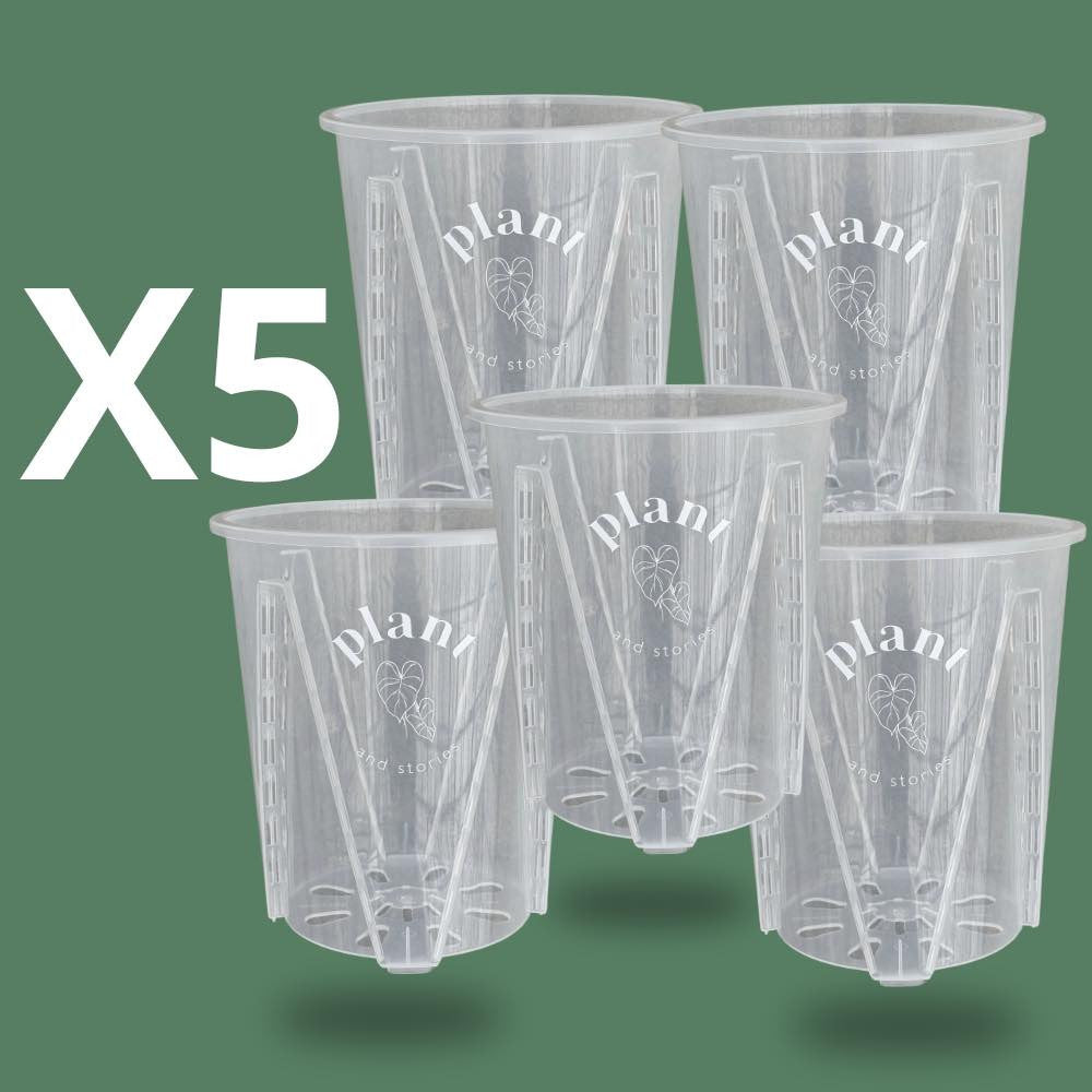 Lot Pot Aracées Transparent - Pot de culture transparent pour plantes