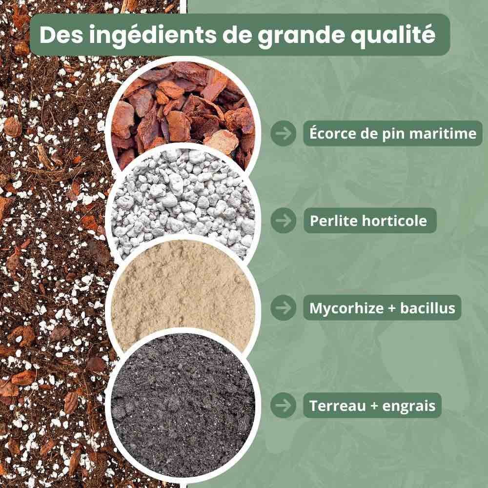 Terreau Hoya Premium - Enrichi en Mycorhize et Bacillus - Fabriqué en France