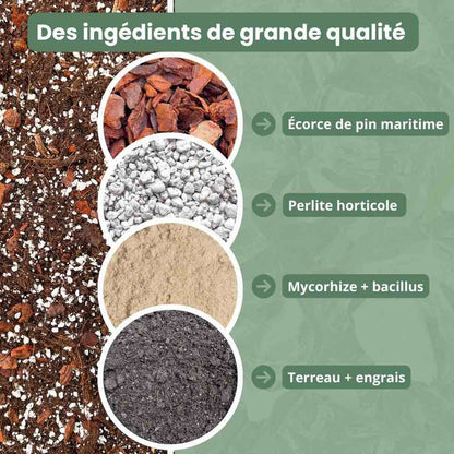Terreau Hoya Premium - Enrichi en Mycorhize et Bacillus - Fabriqué en France