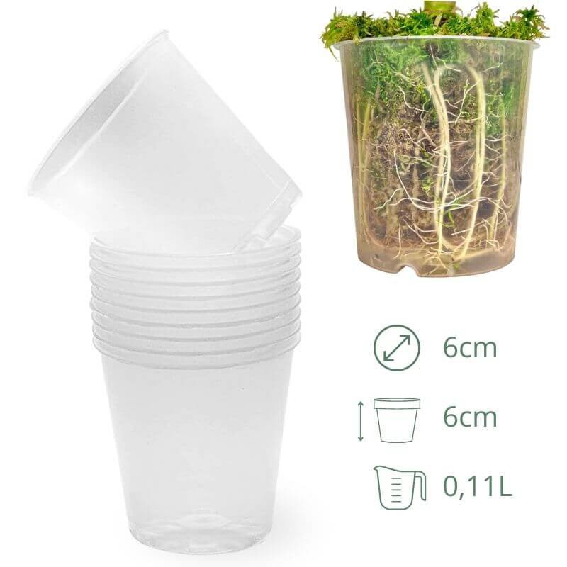 Un lot de dix pots transparents empilés sur la gauche et une plante verte dans un pot de 6 cm sur la droite
