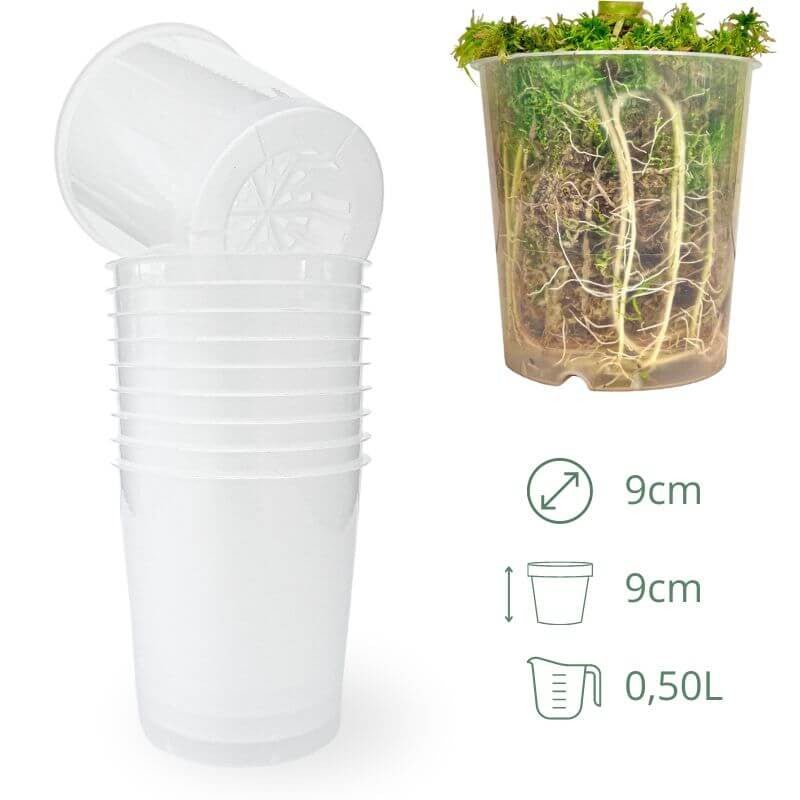 Lot x10 Pots Transparents - plantandstories
