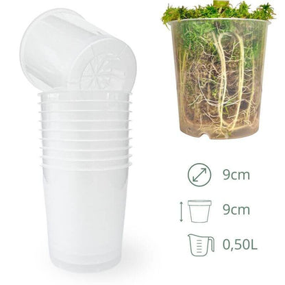 Lot x10 Pots Transparents - plantandstories