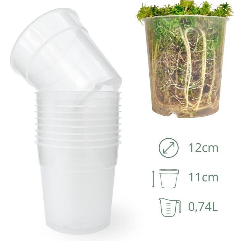 Lot x10 Pots Transparents - plantandstories